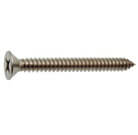 Parafuso de Inox Auto Atarrachante Cabe&ccedil;a Chata Philips - DIN 7982