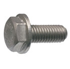 Parafuso de Inox Cabeça Flange - DIN 6921
